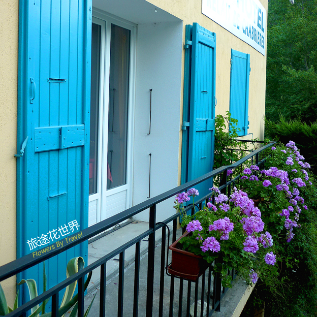 欧洲的“窗花”