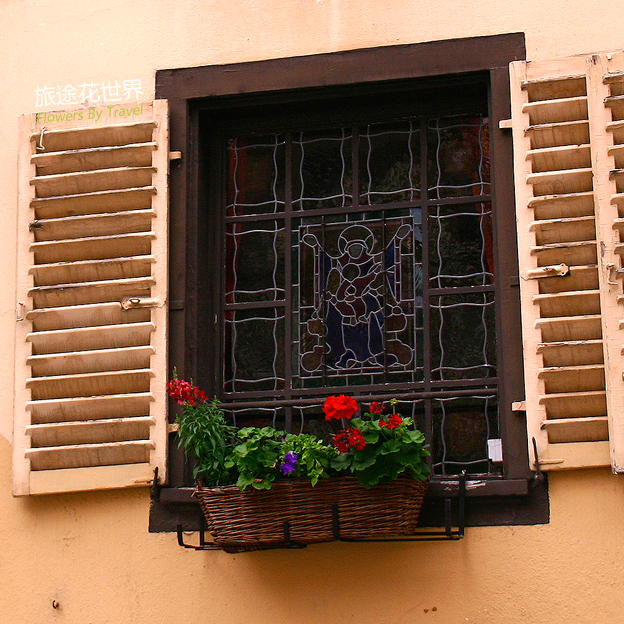 美丽的窗台花卉